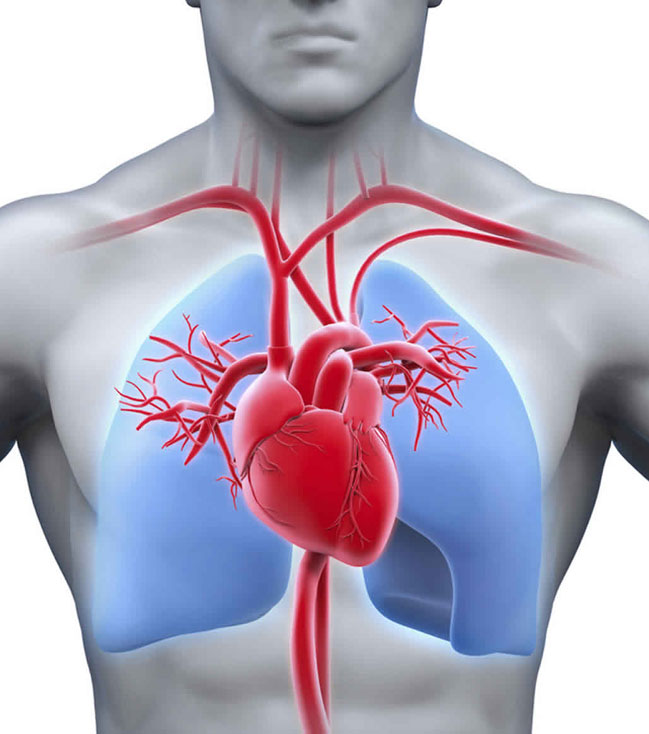 Pulmonary & Cardiac Rehab